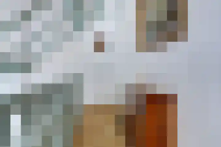 De Wuurde 87 Elst thumbnail 25