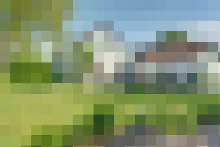 De Wuurde 87 Elst foto 3