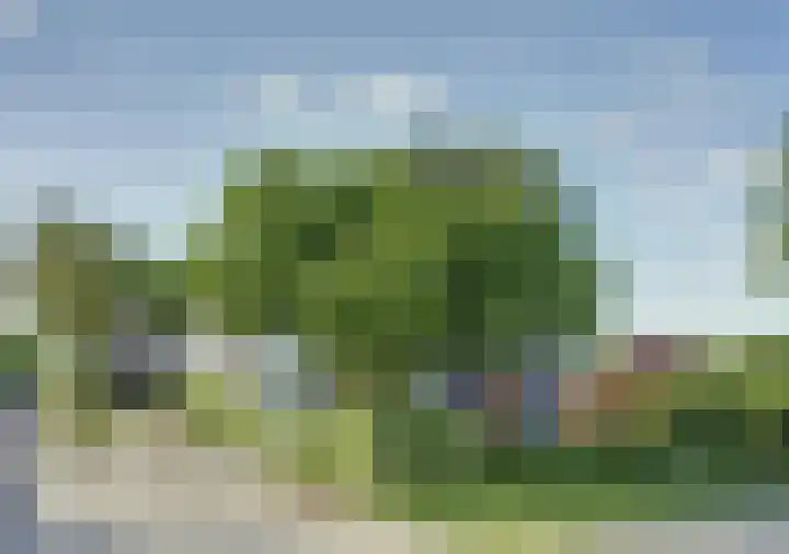 De Wuurde 87 Elst thumbnail 30