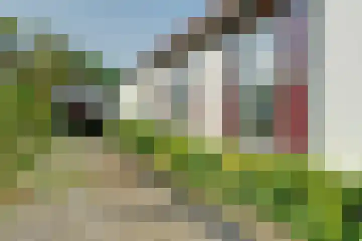 De Wuurde 87 Elst thumbnail 32