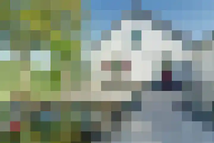 De Wuurde 87 Elst thumbnail 4