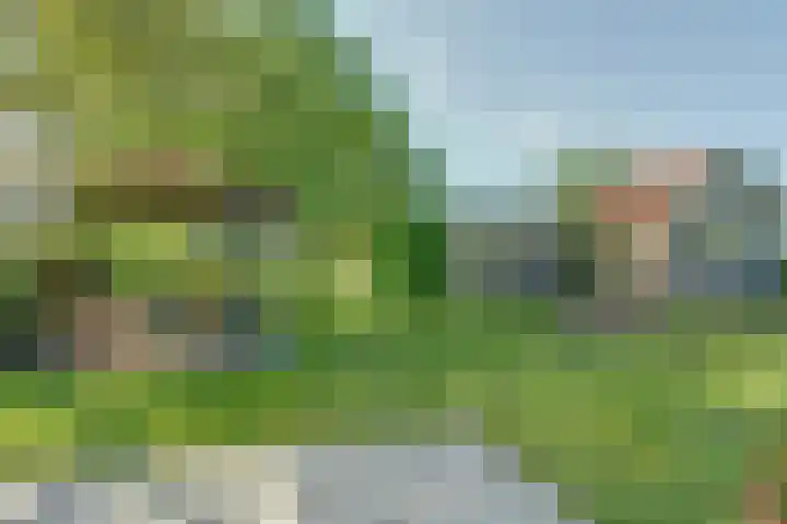 De Wuurde 87 Elst thumbnail 7