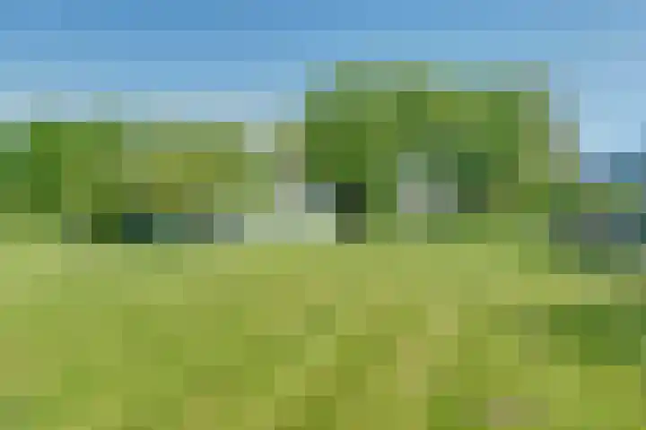 De Wuurde 87 Elst thumbnail 8