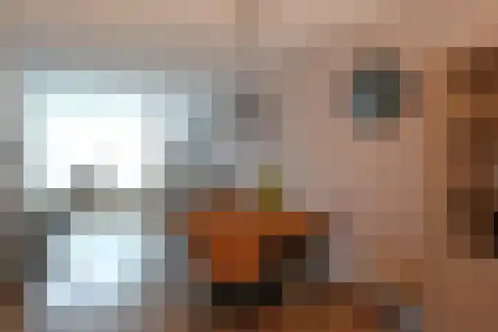 De Wyk 10 Boelenslaan thumbnail 11
