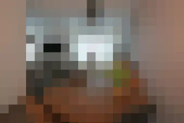 De Wyk 10 Boelenslaan thumbnail 12