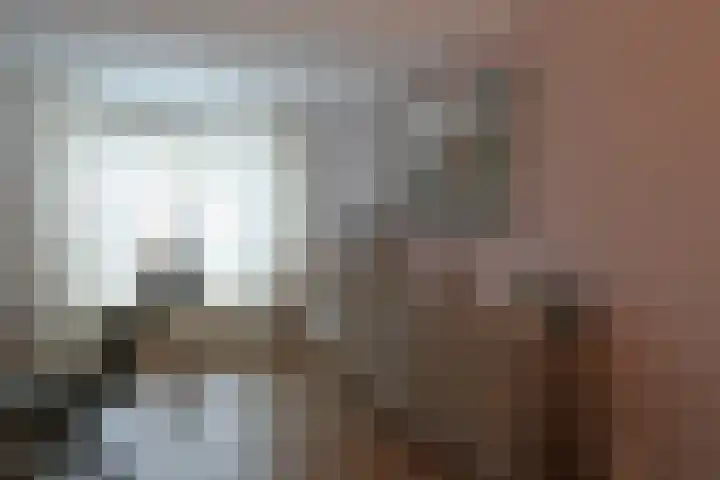 De Wyk 10 Boelenslaan thumbnail 13