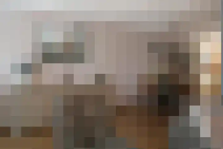 De Wyk 10 Boelenslaan thumbnail 15