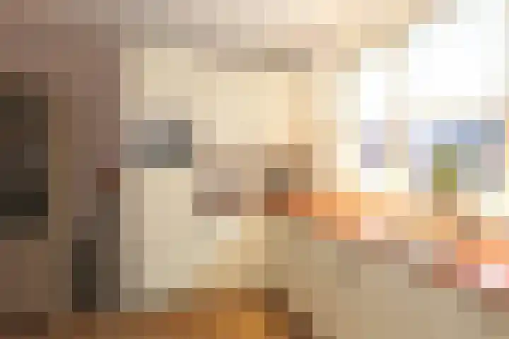 De Wyk 10 Boelenslaan thumbnail 18