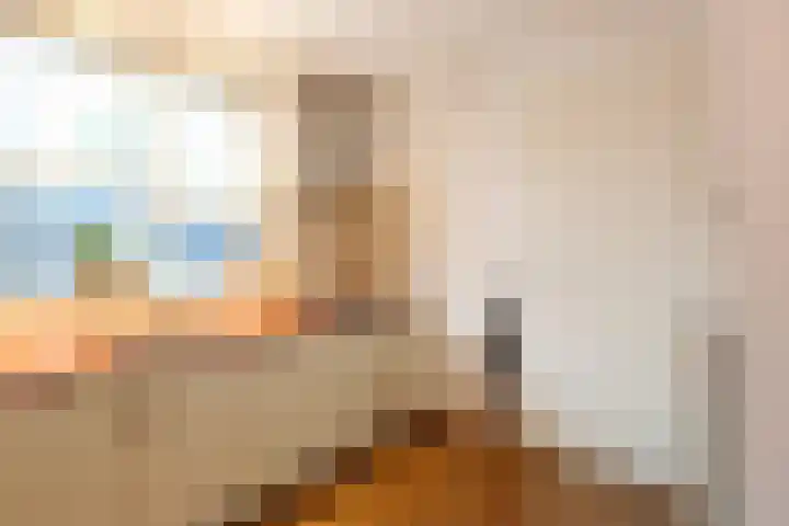 De Wyk 10 Boelenslaan thumbnail 19