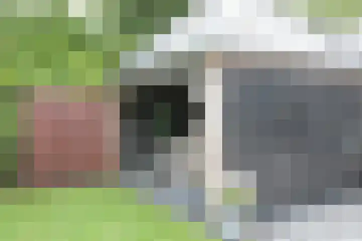 De Wyk 10 Boelenslaan thumbnail 21