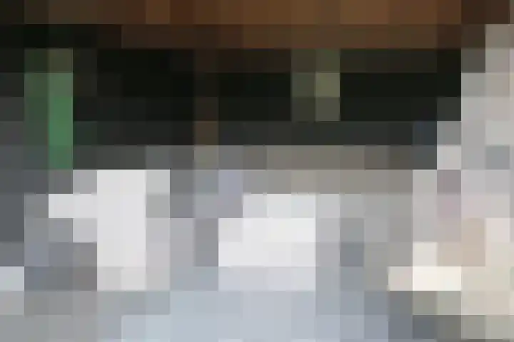De Wyk 10 Boelenslaan thumbnail 22