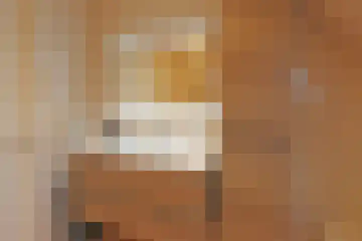 De Wyk 10 Boelenslaan thumbnail 30
