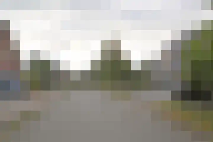 De Wyk 10 Boelenslaan thumbnail 6