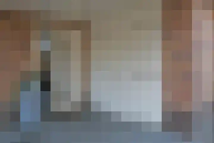 De Wyk 10 Boelenslaan thumbnail 8