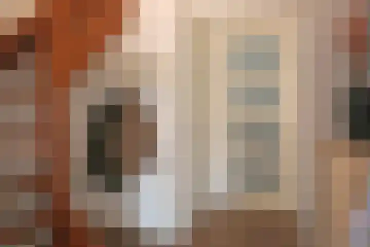 De Wyk 10 Boelenslaan thumbnail 9