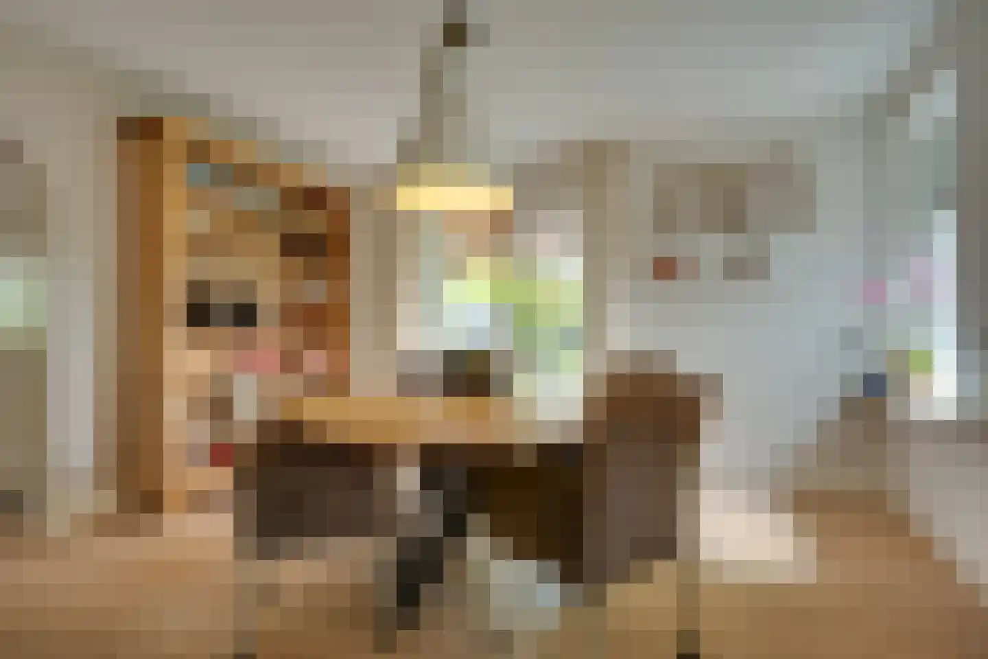 De Wyk 14 Boelenslaan thumbnail 10