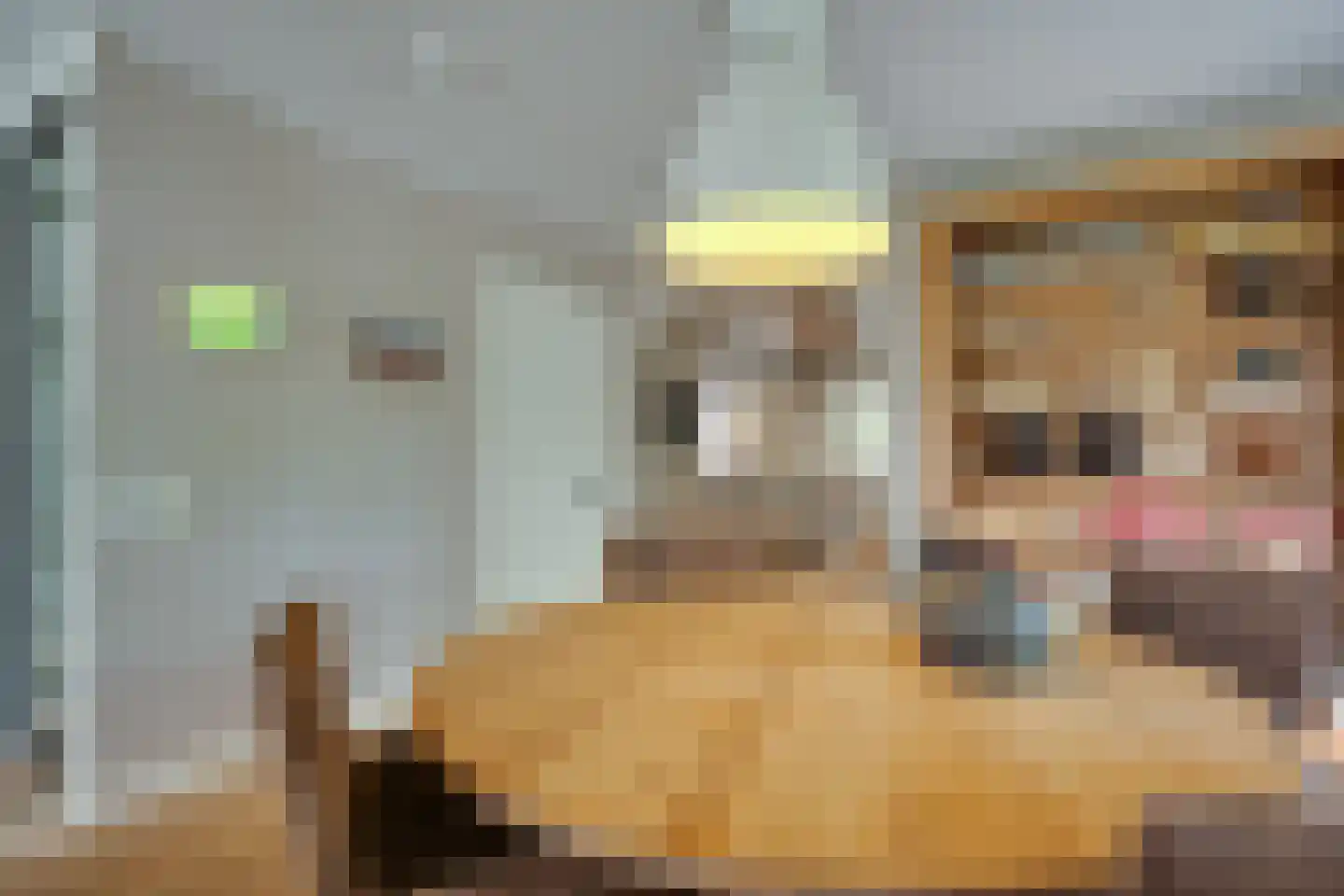 De Wyk 14 Boelenslaan thumbnail 11