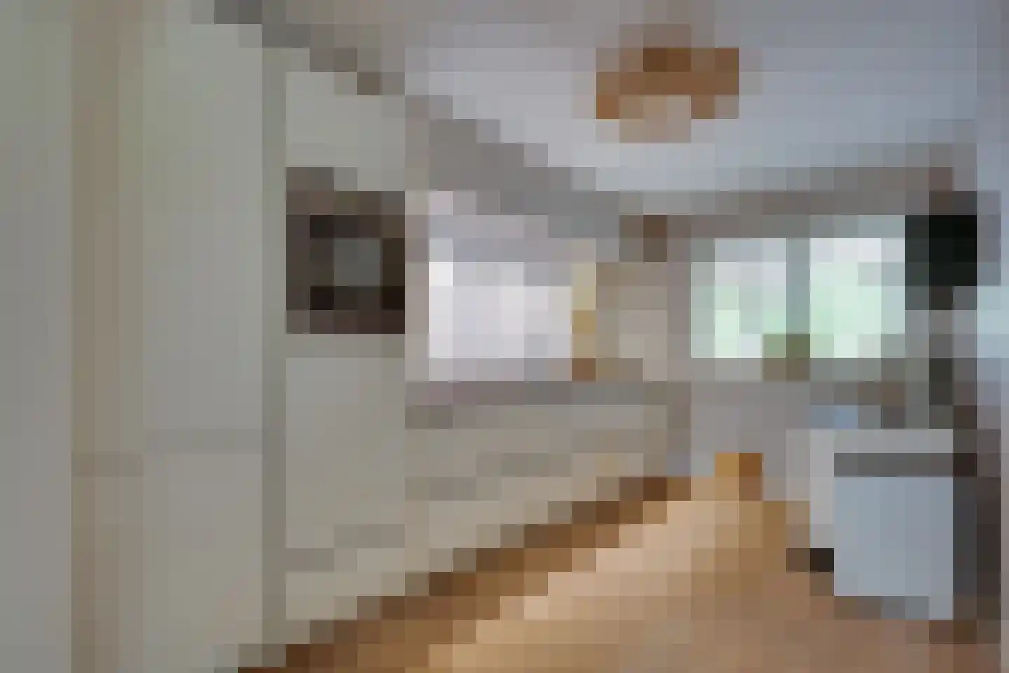 De Wyk 14 Boelenslaan thumbnail 12
