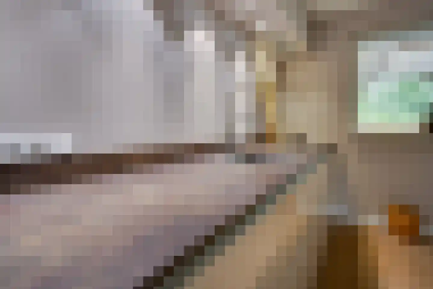 De Wyk 14 Boelenslaan thumbnail 13