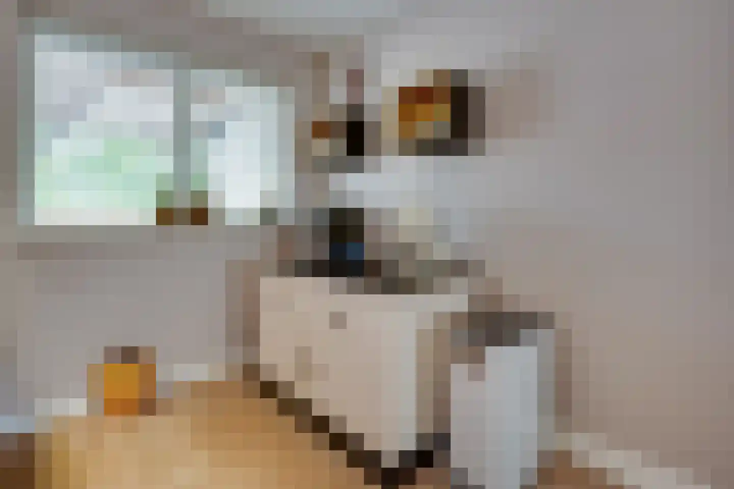 De Wyk 14 Boelenslaan thumbnail 14
