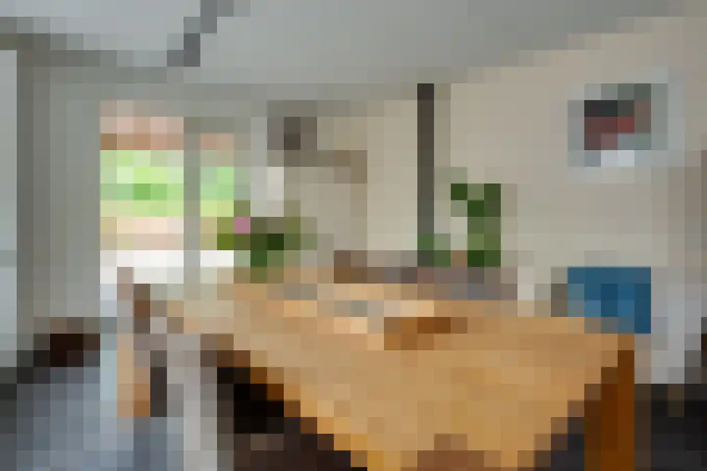 De Wyk 14 Boelenslaan thumbnail 21