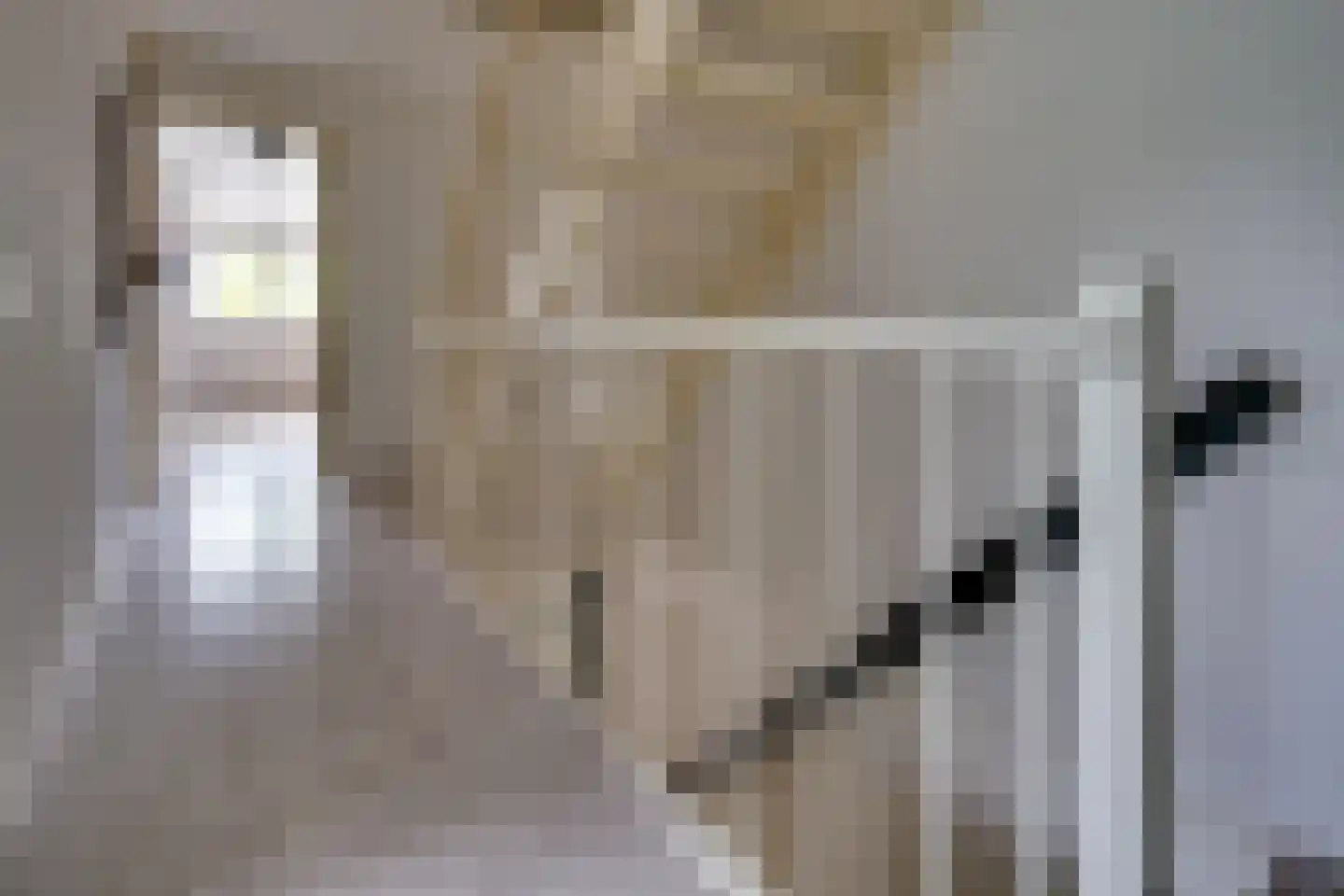De Wyk 14 Boelenslaan thumbnail 24