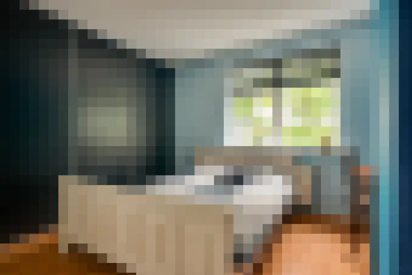 De Wyk 14 Boelenslaan thumbnail 28