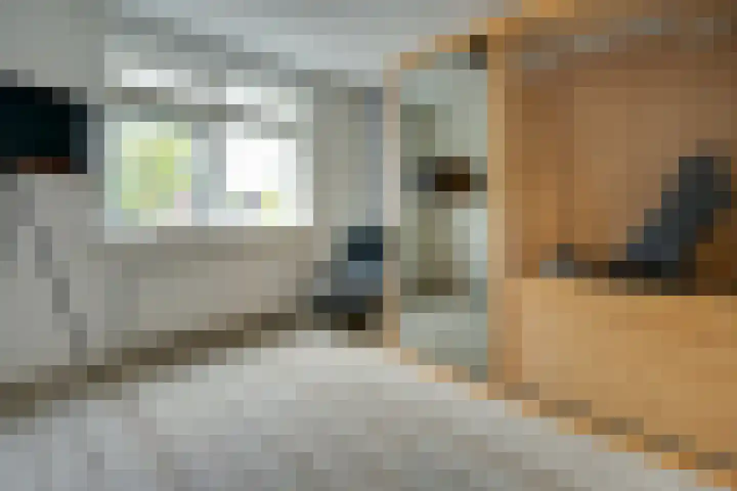De Wyk 14 Boelenslaan thumbnail 36