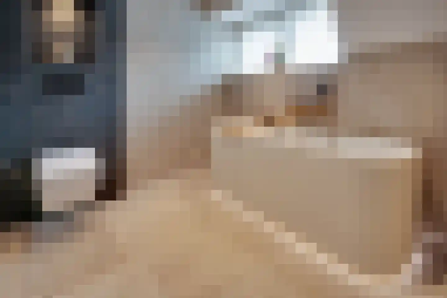 De Wyk 14 Boelenslaan thumbnail 43