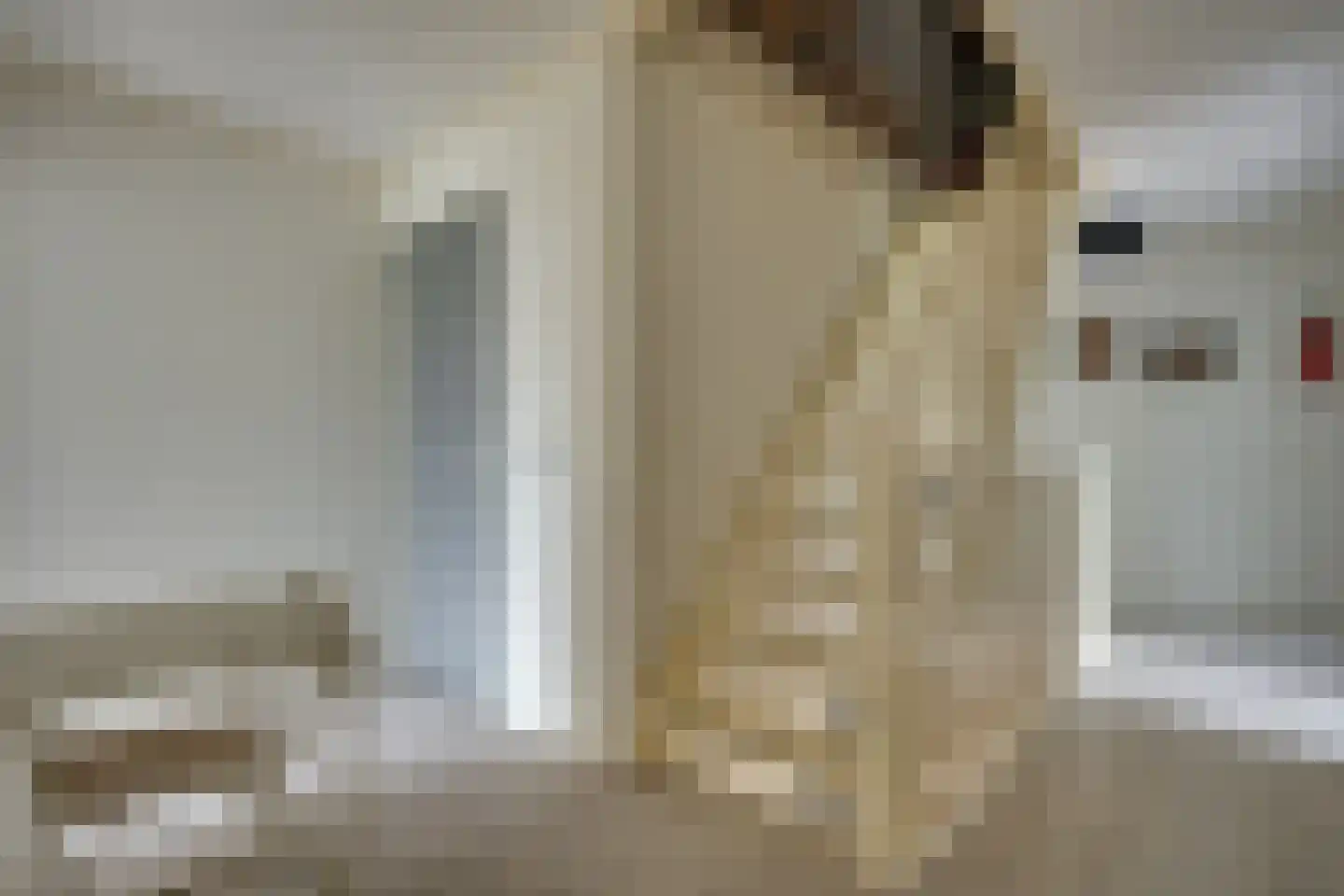 De Wyk 14 Boelenslaan thumbnail 44