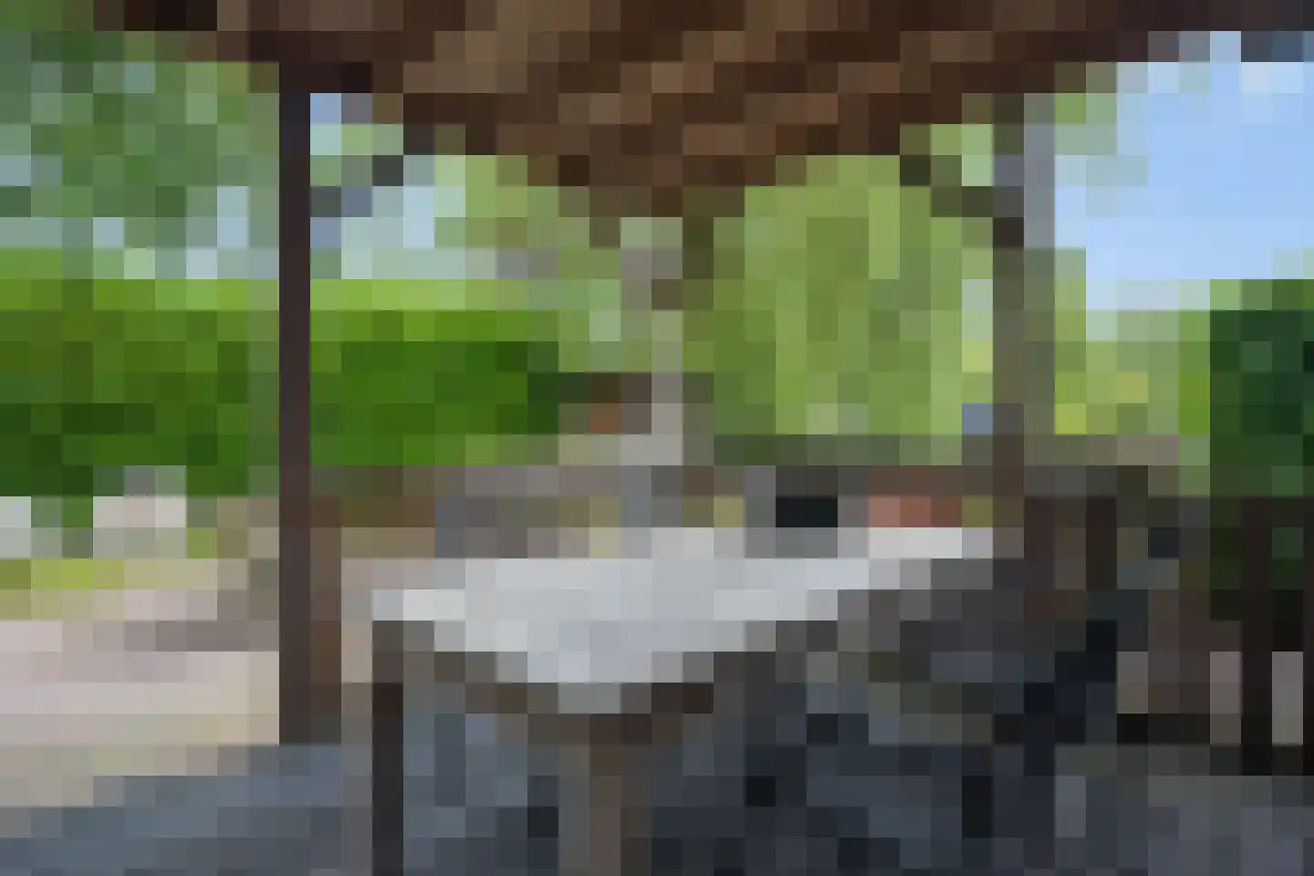 De Wyk 14 Boelenslaan thumbnail 46