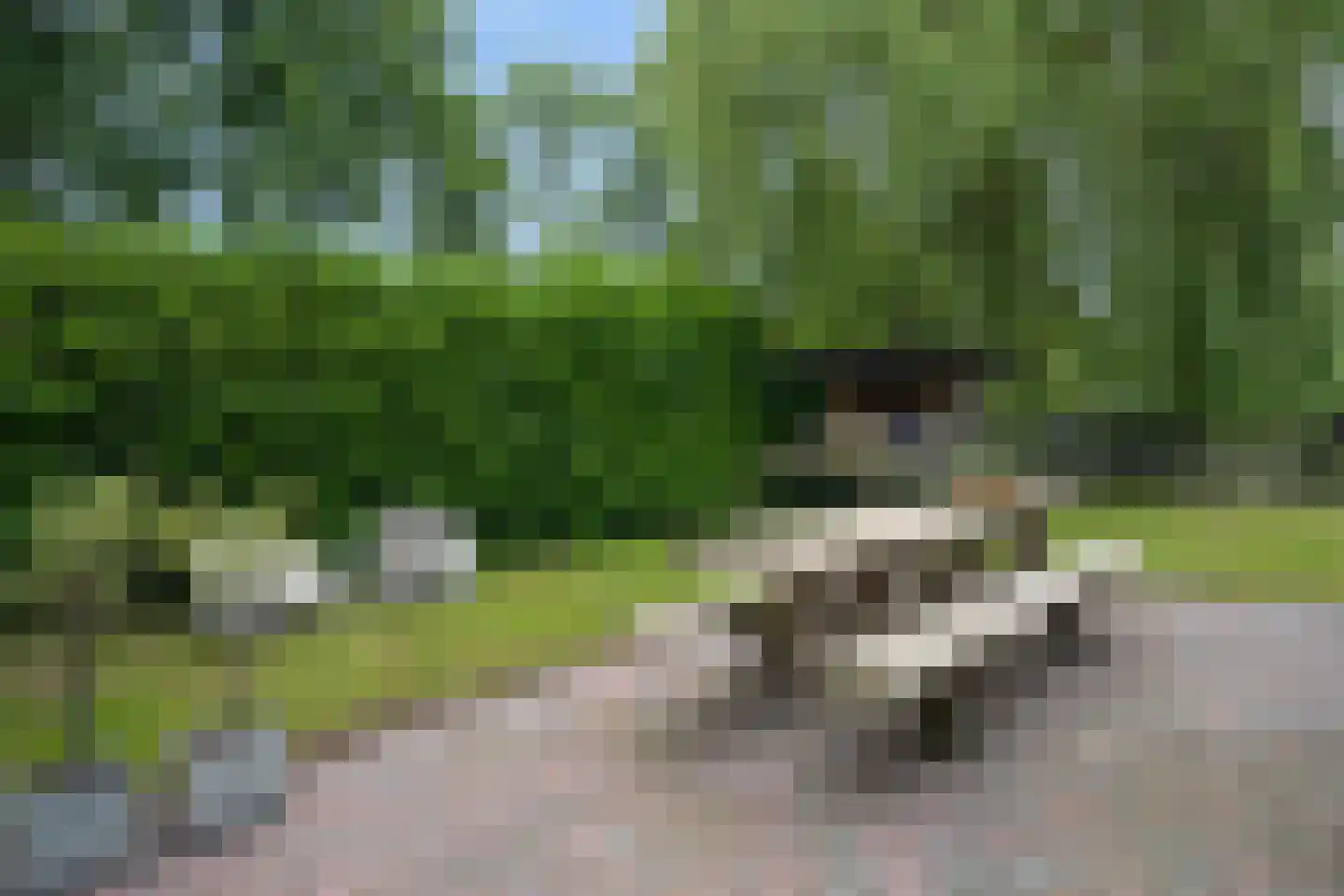 De Wyk 14 Boelenslaan thumbnail 53