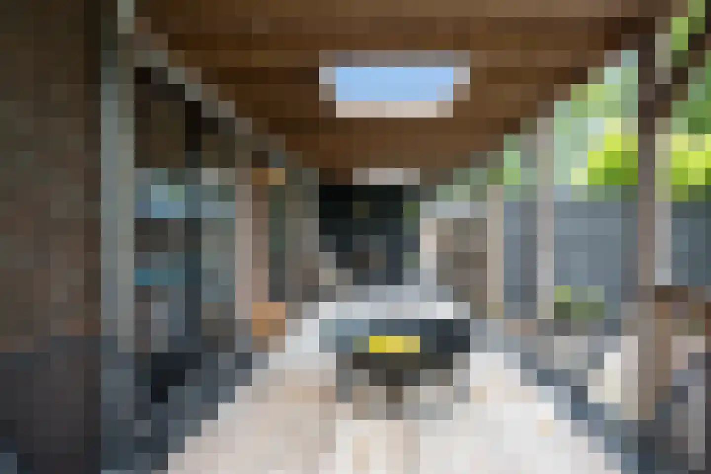 De Wyk 14 Boelenslaan thumbnail 55