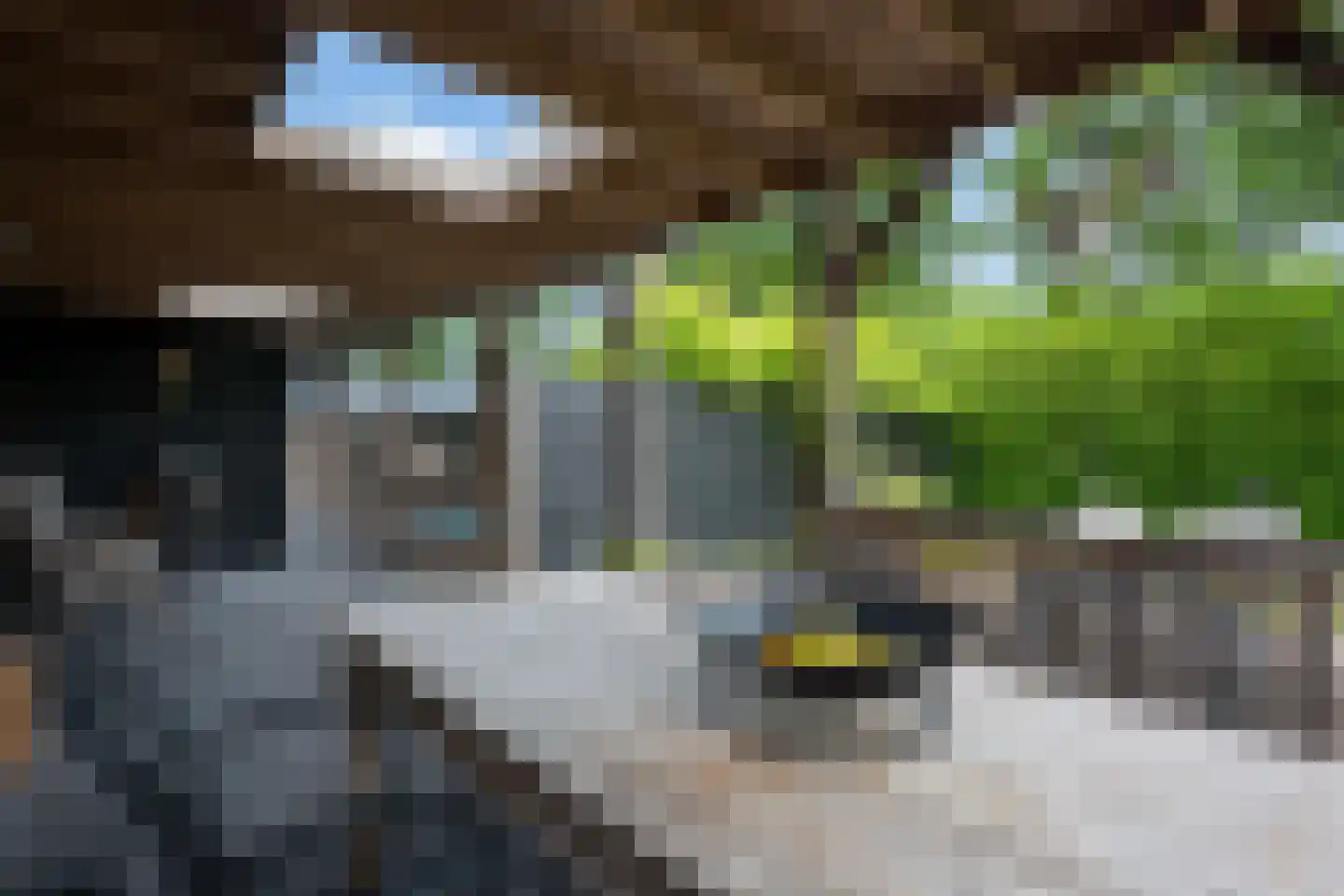 De Wyk 14 Boelenslaan thumbnail 56