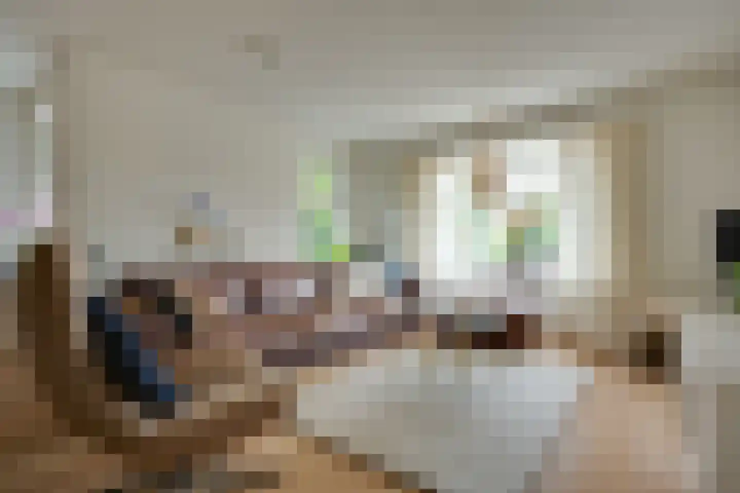 De Wyk 14 Boelenslaan thumbnail 6