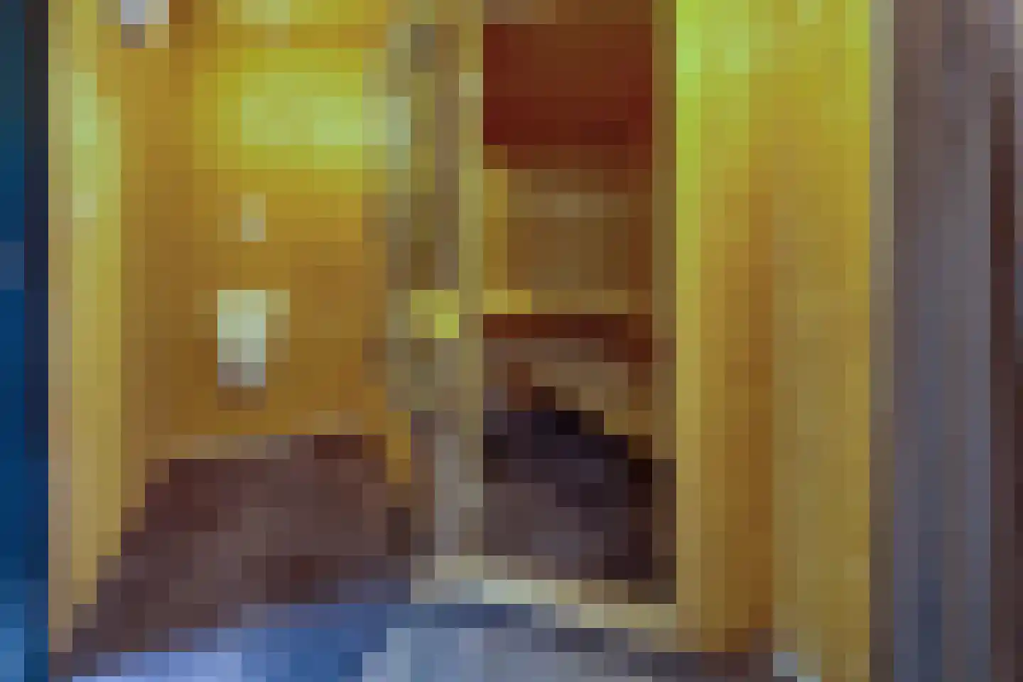 De Wyk 14 Boelenslaan thumbnail 64
