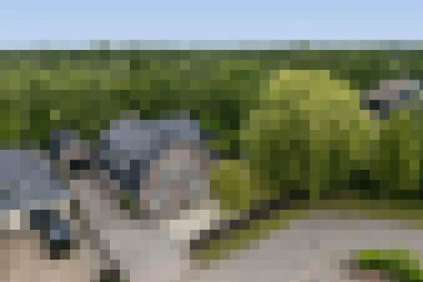 De Wyk 14 Boelenslaan thumbnail 77