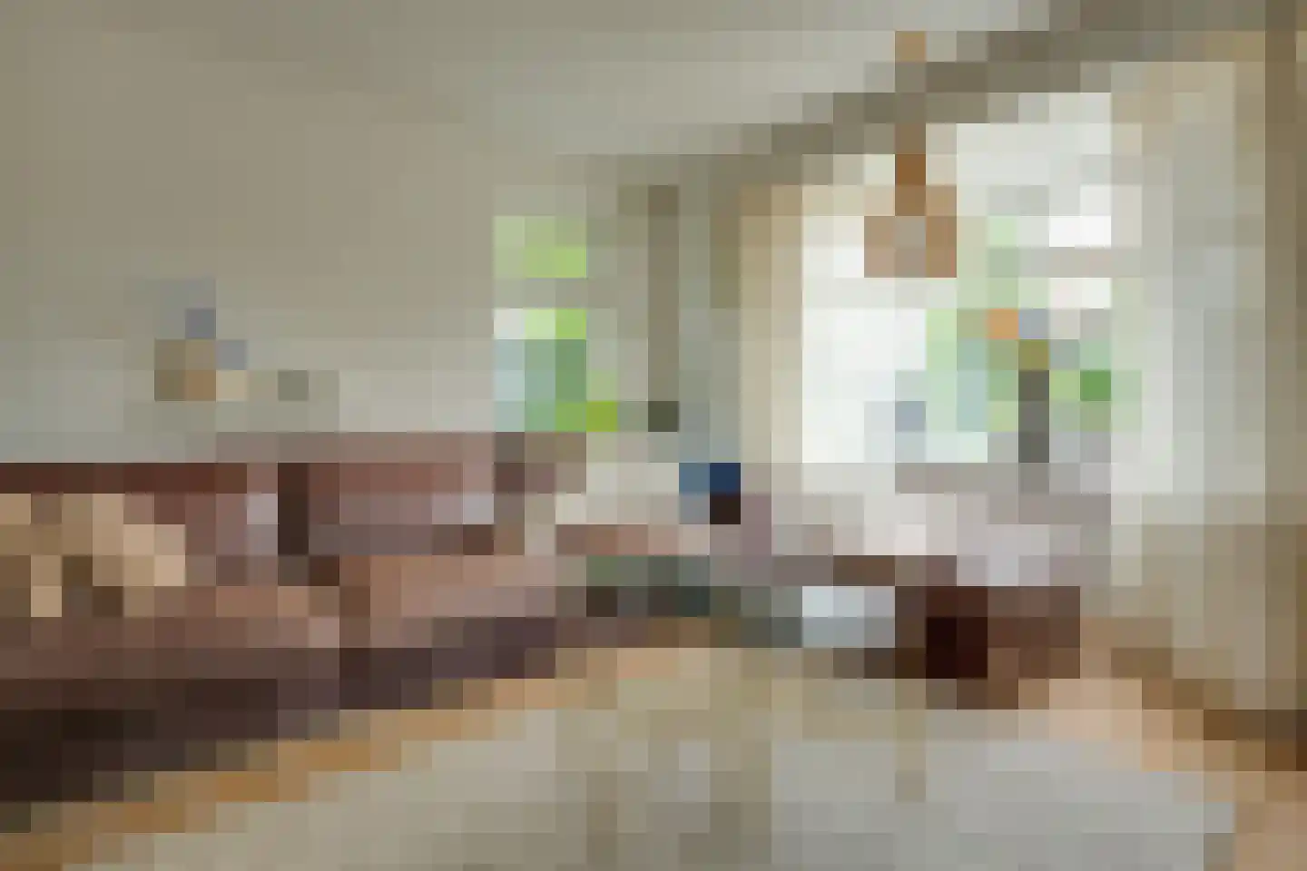De Wyk 14 Boelenslaan thumbnail 8