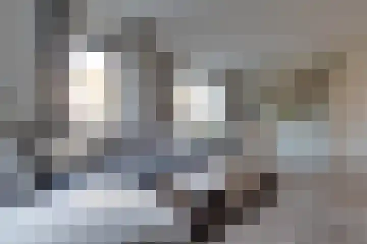 De Wyk 29 Boelenslaan thumbnail 10