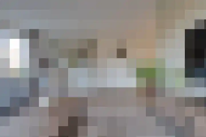 De Wyk 29 Boelenslaan thumbnail 11