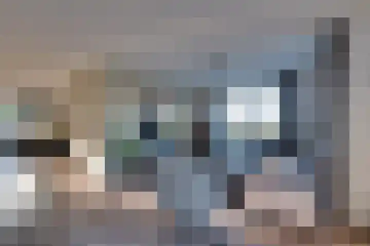 De Wyk 29 Boelenslaan thumbnail 12