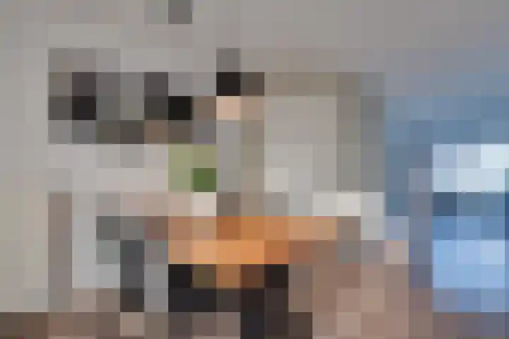 De Wyk 29 Boelenslaan thumbnail 13
