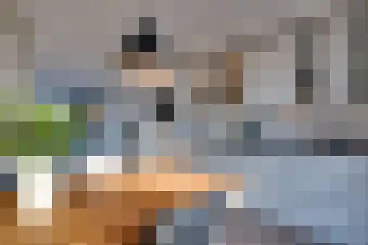 De Wyk 29 Boelenslaan thumbnail 15