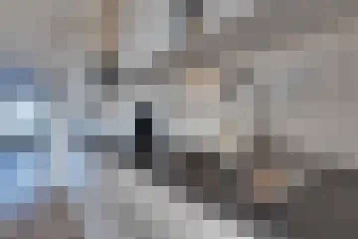 De Wyk 29 Boelenslaan thumbnail 16
