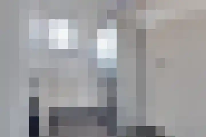 De Wyk 29 Boelenslaan thumbnail 17