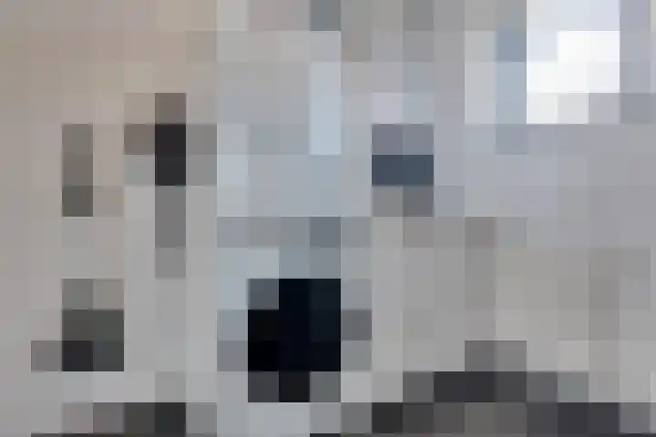 De Wyk 29 Boelenslaan thumbnail 18