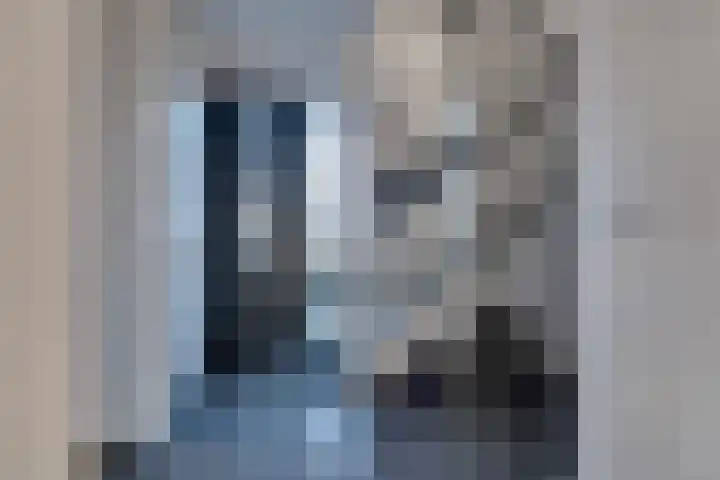 De Wyk 29 Boelenslaan thumbnail 20