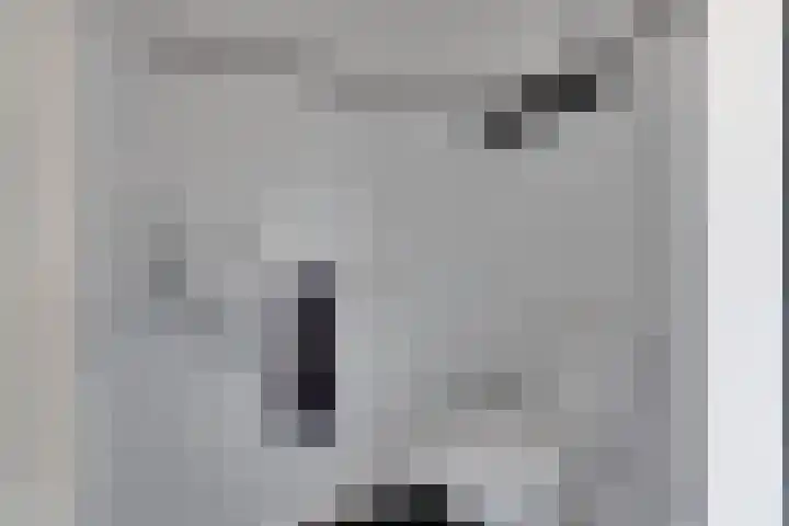 De Wyk 29 Boelenslaan thumbnail 21
