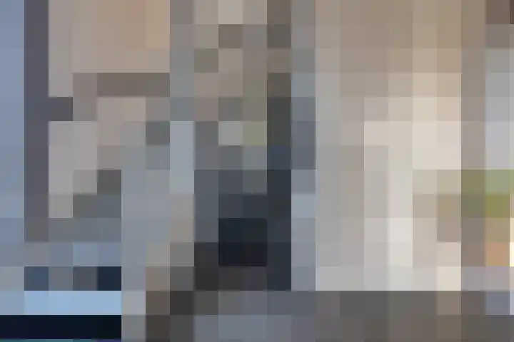 De Wyk 29 Boelenslaan thumbnail 22