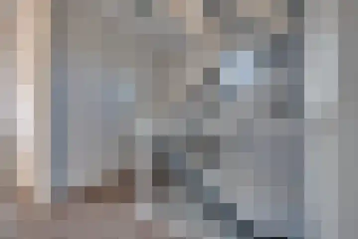 De Wyk 29 Boelenslaan thumbnail 23